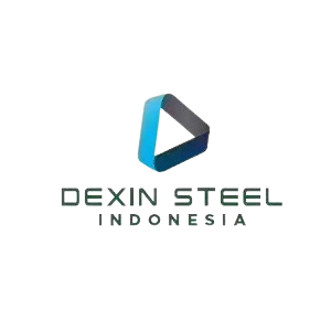 DSI